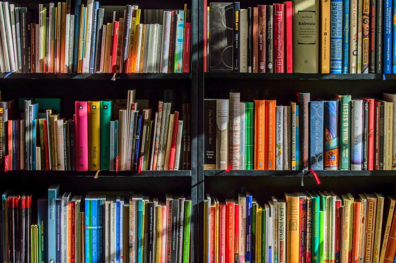Biblioteca Búger