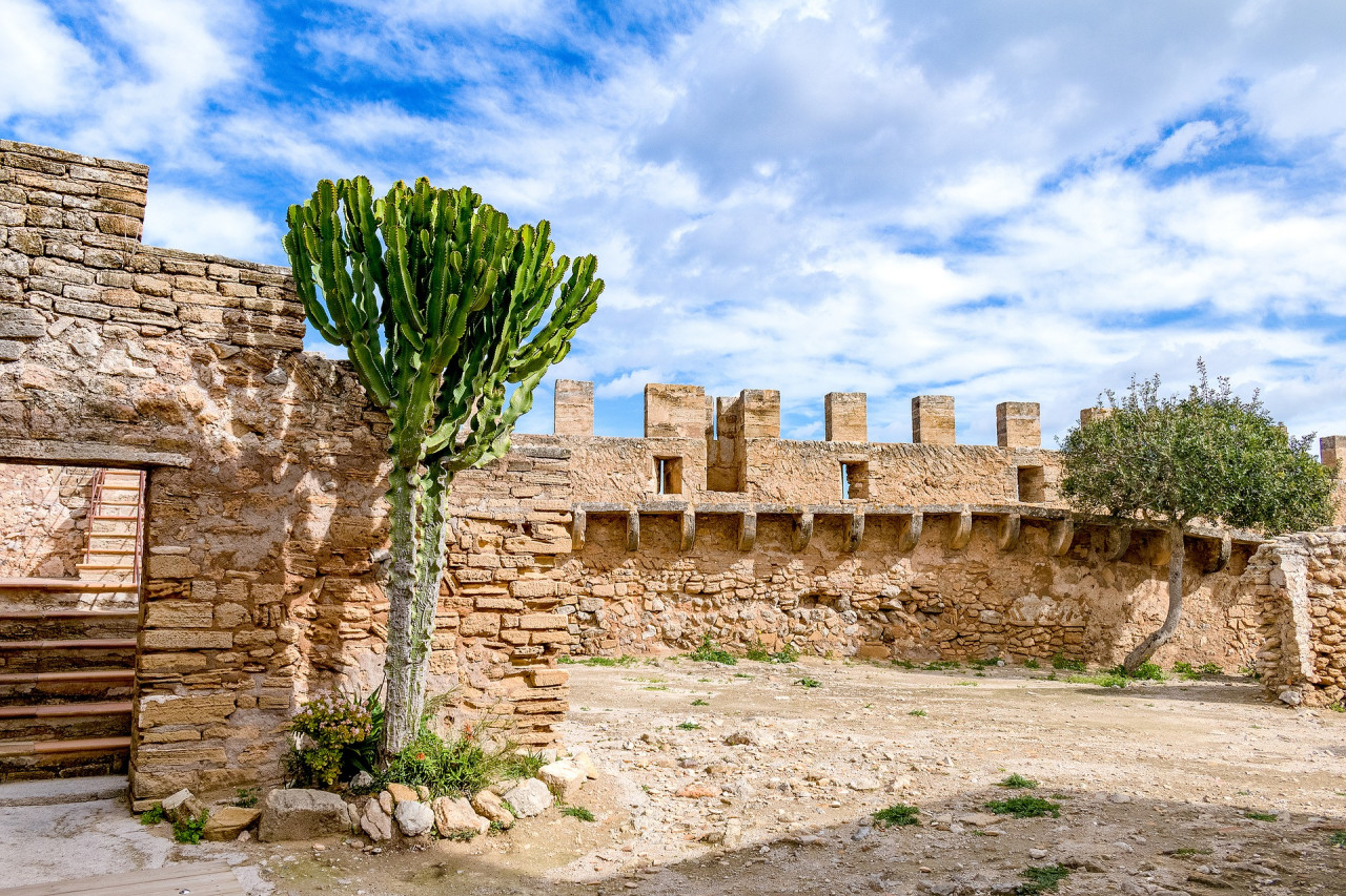 Sortida cultural al castell de Capdepera
