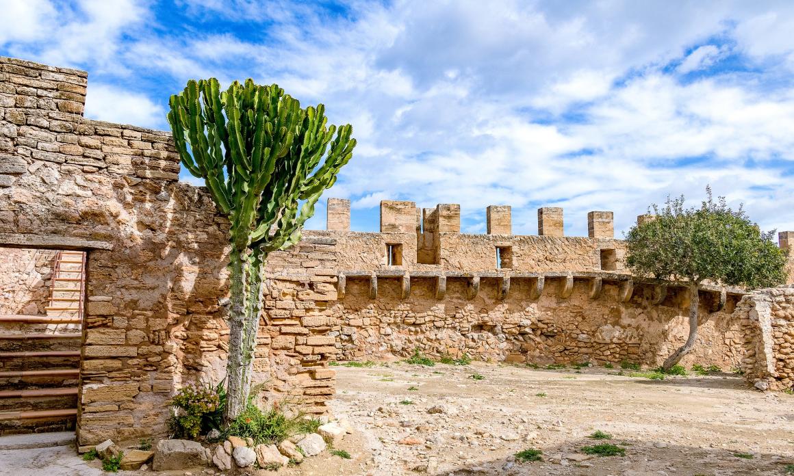 Sortida cultural al castell de Capdepera