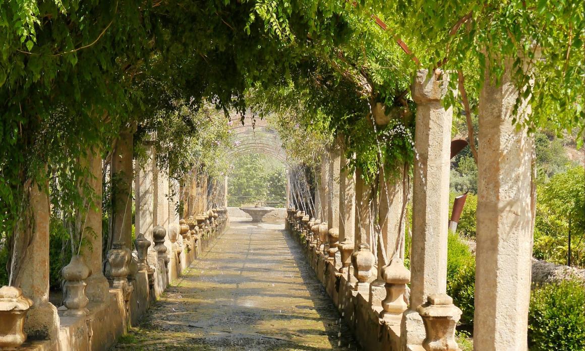 Sortida cultural a Alfàbia