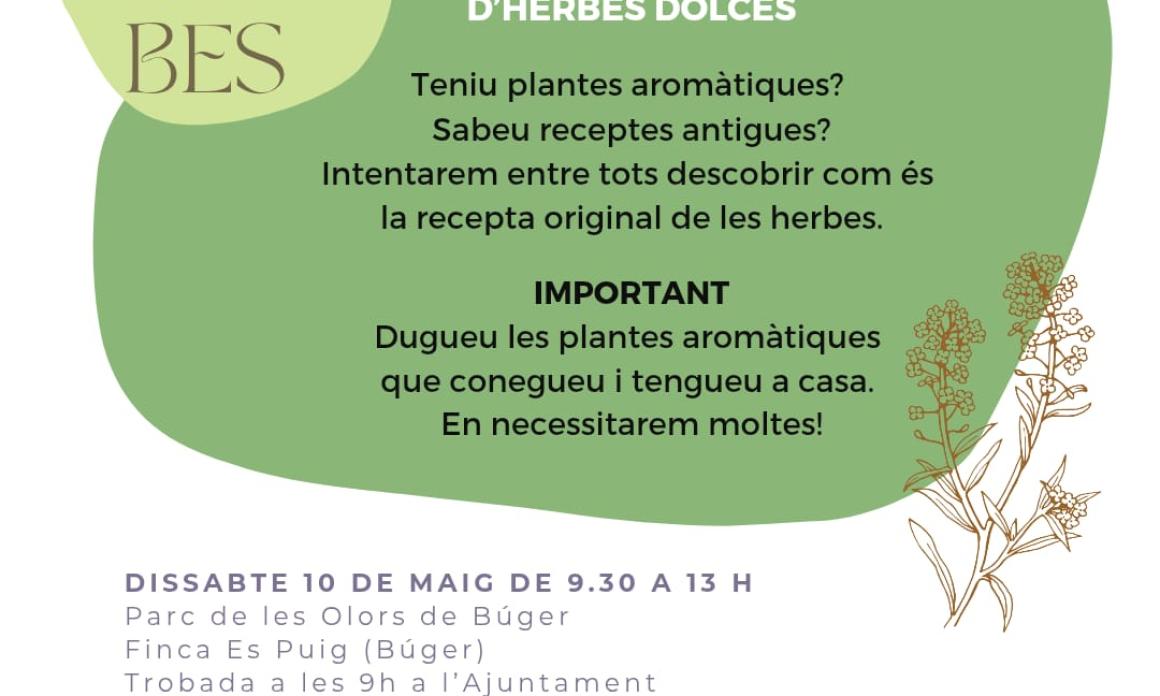 Taller d'elaboració d'herbes dolces